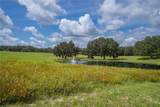 353 Lake Shenandoah Loop - Photo 84