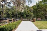 12190 Maple Street - Photo 79