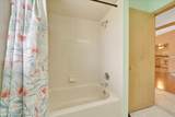 10741 Pine Bark Lane - Photo 61