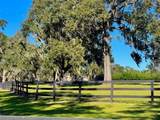 10351 Highway 320 - Photo 46