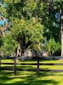 10351 Highway 320 - Photo 47