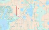 12146 Highway 318 - Photo 49