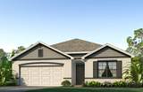337 Hickory Course Trail - Photo 1