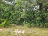  141ST Avenue - Photo 3