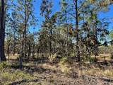 Lot 1 131ST Avenue - Photo 8