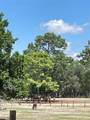  Tbd Sw Obee Ridge Rd - Photo 8