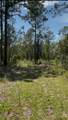  Tbd Sw Obee Ridge Rd - Photo 9