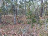 2290 State Road 121 - Photo 5