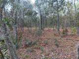 2290 State Road 121 - Photo 6