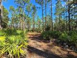 5449 Smokey Mountain Point - Photo 10