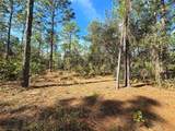 5449 Smokey Mountain Point - Photo 9