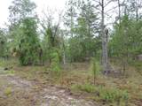 TBD Pony Ridge - Photo 4