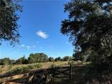 11829 Riverbend Road - Photo 8