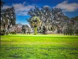 260 Live Oak Loop - Photo 1