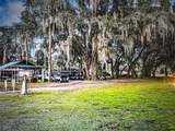 260 Live Oak Loop - Photo 10