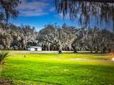 260 Live Oak Loop - Photo 11