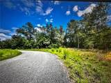 260 Live Oak Loop - Photo 13