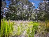 260 Live Oak Loop - Photo 14