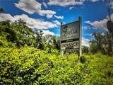 260 Live Oak Loop - Photo 16
