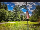 260 Live Oak Loop - Photo 18
