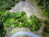 260 Live Oak Loop - Photo 19