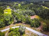 260 Live Oak Loop - Photo 21
