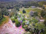 260 Live Oak Loop - Photo 24