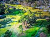260 Live Oak Loop - Photo 6