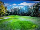 260 Live Oak Loop - Photo 7