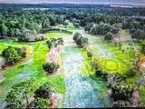 260 Live Oak Loop - Photo 8