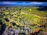 260 Live Oak Loop - Photo 9