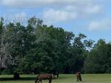 TBD Highway 329 - Photo 2