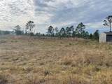 29290 Clara Drive - Photo 3