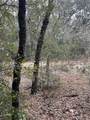 Lot 36 Monines Court - Photo 4