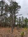 Lot 57 Skylark Street - Photo 5