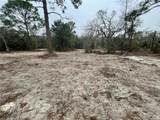 4245 Roadrunner Court - Photo 10