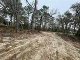 4245 Roadrunner Court - Photo 3