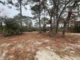 4245 Roadrunner Court - Photo 4