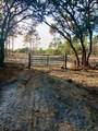  133RD Avenue - Photo 1