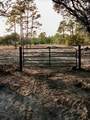  133RD Avenue - Photo 10