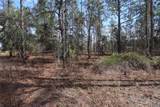 2251 Buena Vista Road - Photo 1