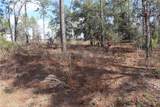 2251 Buena Vista Road - Photo 3