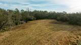1552 Palm View Road - Photo 17