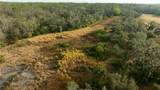 1552 Palm View Road - Photo 24