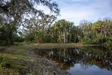 1552 Palm View Road - Photo 31