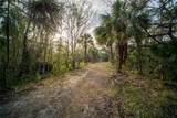 1552 Palm View Road - Photo 32