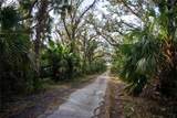 1552 Palm View Road - Photo 39