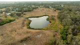 1552 Palm View Road - Photo 42
