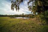 1552 Palm View Road - Photo 43