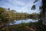 1552 Palm View Road - Photo 45
